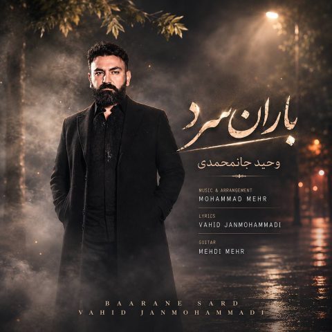 دانلود آهنگ وحید جان محمدی باران سرد